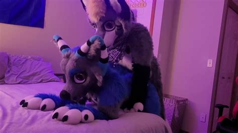 Freaky Furry Copulation And Blowjob In Cute Wolf And Raccoon Costumes Video