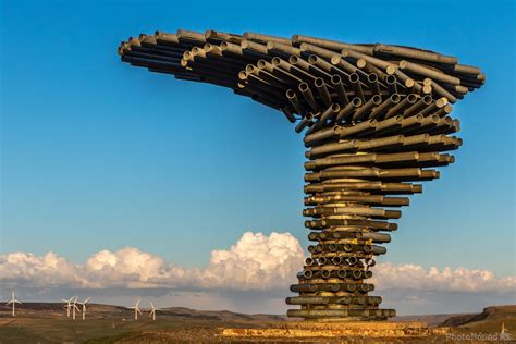 Image Of The Singing Ringing Tree 1023161