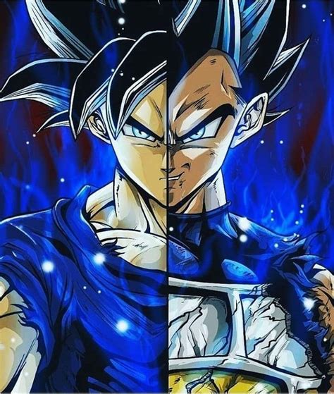 This time, we bring you a stunning puzzle of dragon ball z, which will see goku and vegeta evolution and developments in super saiyan warriors. Ultra instinto Goku y Vegeta | Personajes de goku ...