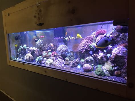 Show Us Your 120 Gallon Aquascapes Reef2reef Saltwater And Reef