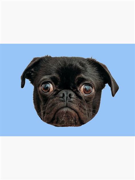 Boggle Eyed Pug Mask For Sale By Tomart O Redbubble