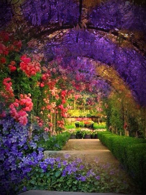 If I Could Have My Dream Garden This Is The Archway I Would Want