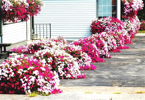25 Most Gorgeous Flower Bed Design Ideas For Stunning Front Yard