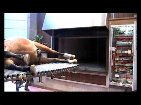 The average time it takes to cremate a body is from one to three hours although it can take over five hours. First horse Cremation System /paarden crematieoven ...