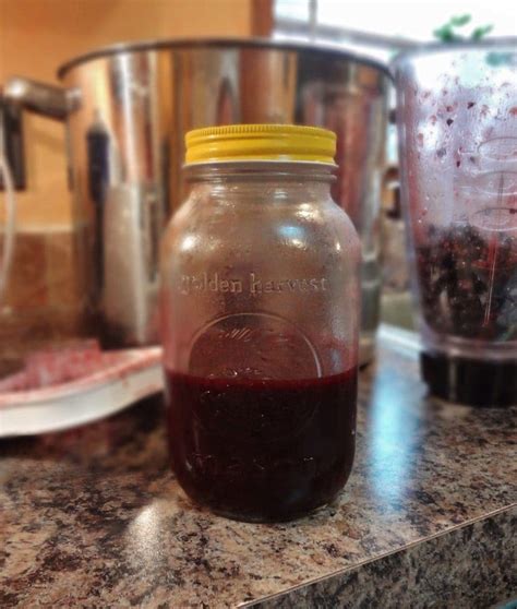 Homemade Concord Grape Juice The Fit Cookie