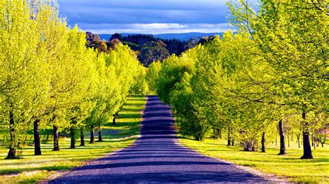 Pathway Wallpapers Most Beautiful Places In The World Download Free Wallpapers