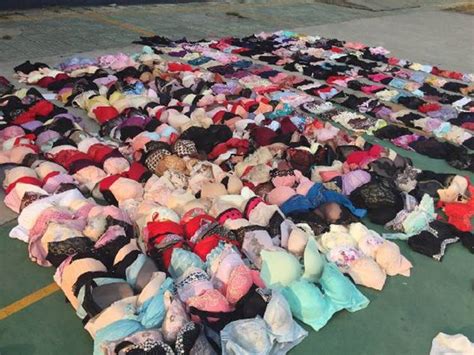 Underwear Thief Used Fishing Rod Tool To Steal 285 Bras