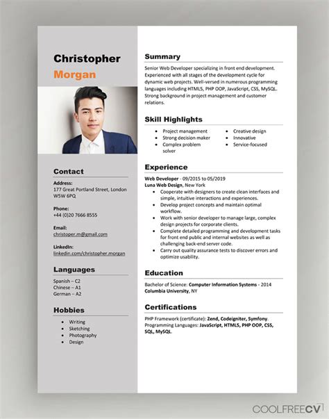 Profile picture and profile description, work experience, education and a list of skills. CV Resume Templates Examples Doc Word download
