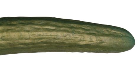 Horny Cucumber 1atoys Etsy