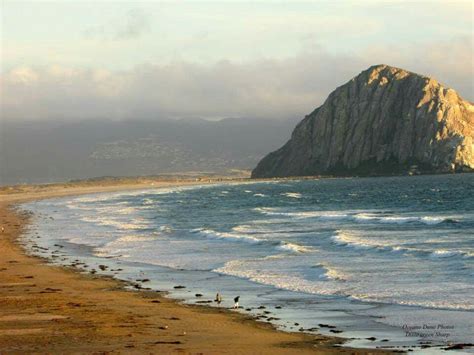 Morro Rock Morro Bay California Places To Go Morro Bay Surfer