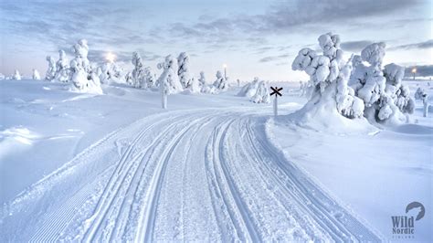 Short Beginner´s Snowmobile Safari Taxari Travel Agency Lapland