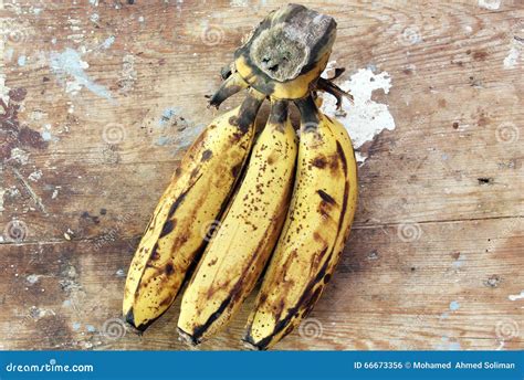 Rotten Banana Stock Photo Image Of Decay Fungus Moulder 66673356