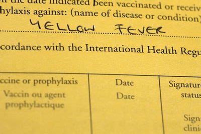Application and issuance of health card. Government issuing new yellow fever cards - Daily Monitor