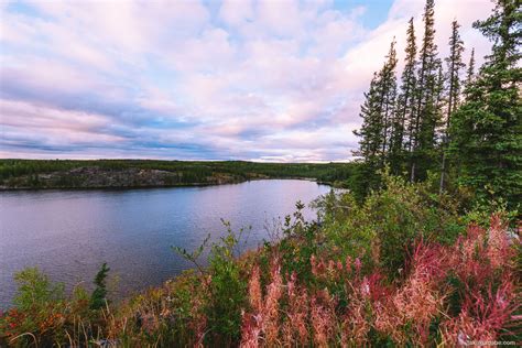 Autumn In The Northwest Territories Taku Kumabe Photography And Design