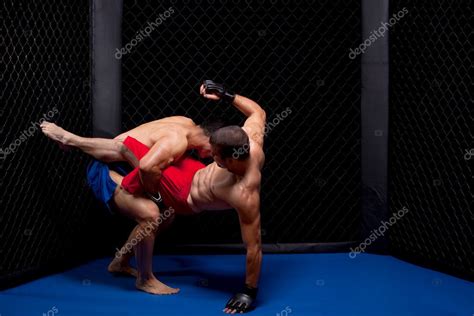 Mixed Martial Artists Fighting — Stock Photo © Nickp37 6533264