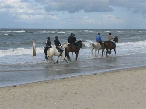 Kette ostfriesland strandsand, kombiniert aus einer ca. Reiter am Strand von Norderney... (mit Bildern) | Reiten ...