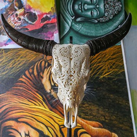 Real Cow Skull For Sale Only Left At