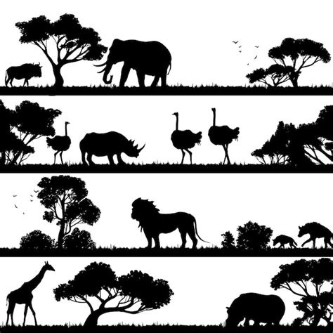 Safari Free Vector Graphics Everypixel