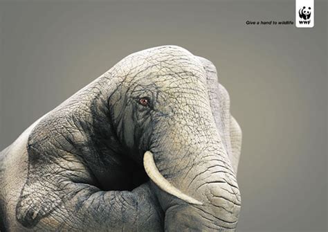 10 Excellent Examples Of Visual Advertising Deuce
