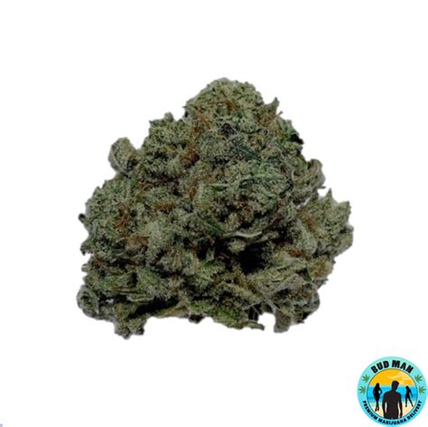 King Kong Kush Bud Man Orange County Dispensary Delivery