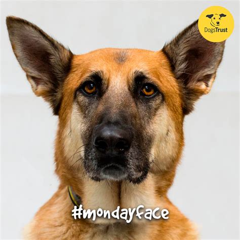 We did not find results for: "Go ahead Monday, make my day! " #Azita #mondayface # ...