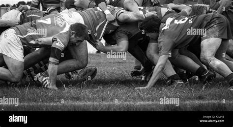 Rugby Scrum Stock Photo Alamy