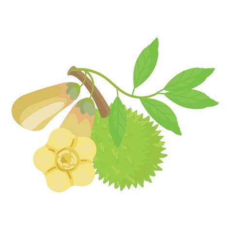 Durian Leaf Icon Cartoon Vector Food Fruit 17321720 Vector Art At Vecteezy