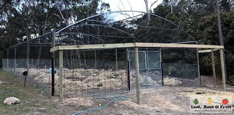 Backyard Orchard Netted Structures Leaf Root And Fruit Gardening