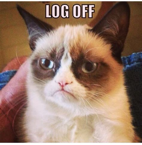 84 Best Images About Mad About Grumpy On Pinterest Grumpy Cat Humor