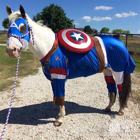 Costumes for your best friend or group of friends adorable besties halloween costumes halloween is right around the corner my friends so if you haven't decided on a costume yet here are some easy diy costumes for you and your friends. DIY Captain America Horse Costume | Costume Yeti