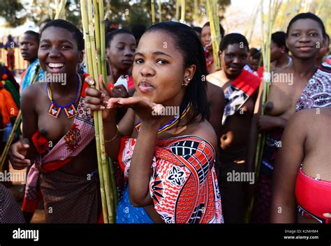 swazilandia umhlanga reed dance fotografía de stock alamy
