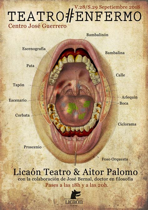 Lecturer in human morphology at the university of nottingham; Anatomy Of The Back Of The Throat - slideshare