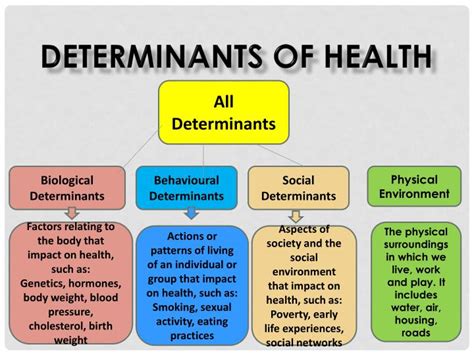 Ppt Determinants Of Health Powerpoint Presentation Id
