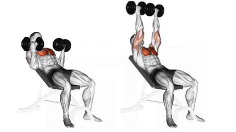 upper chest dumbbell exercises to build mass and strength