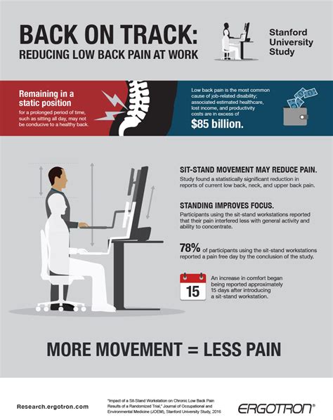 Reducing Low Back Pain At Work Infographic
