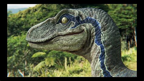 Velociraptor Blue Jurassic World 2 Rexy Jurassic World Fallen Kingdom