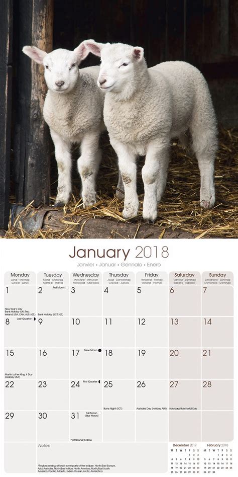 Sheep Calendar 2018 Pet Prints Inc