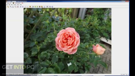 Best photo viewer, image resizer & batch converter for windows. XnView MP Free Download - Get Into Pc