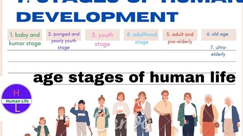 Stages Of Human Development Age Stages Of Human Life Stages Of