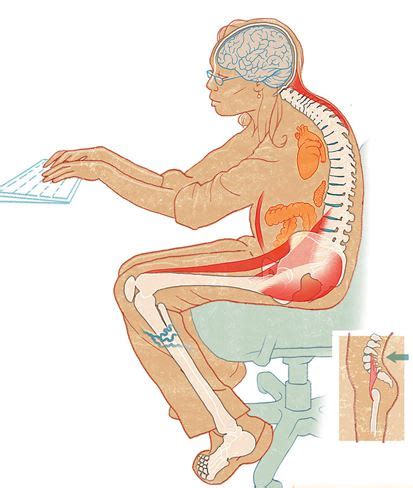 What Sitting Too Long Can Do To Your Body Coherence Com Au