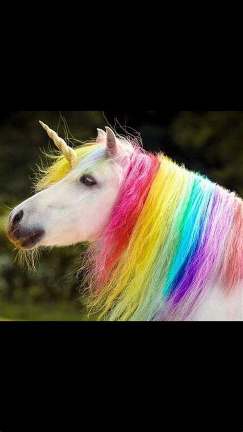 Pin By Chicana 602 On Unicorns Real Unicorn Baby Animals Pictures