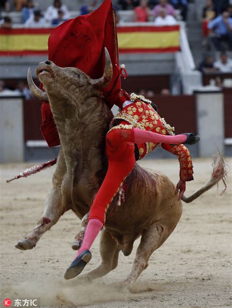 西班牙斗牛节险象环生 斗牛士被掀倒 金羊网