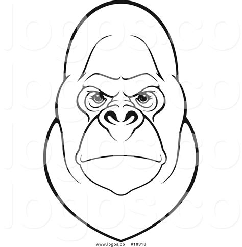 Gorilla Face Drawing At Getdrawings Free Download