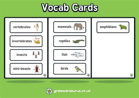 Science Animals Including Humans Vocabulary Cards Grammarsaurus