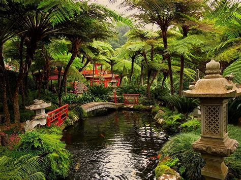 Japanese Zen Garden HD Wallpaper Pxfuel