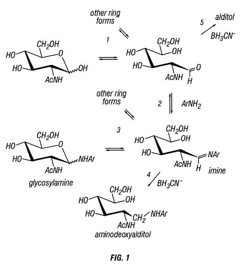 Glycan Derivatives Eureka Wisdom Buds Develop Intelligence Library