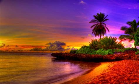 Tropical Sunrise Wallpaper All Hd Wallpapers