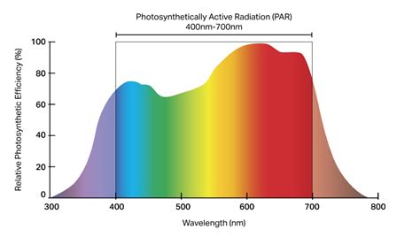 Grow Light Spectrum Explained Ideal Led Spectrum For Plants
