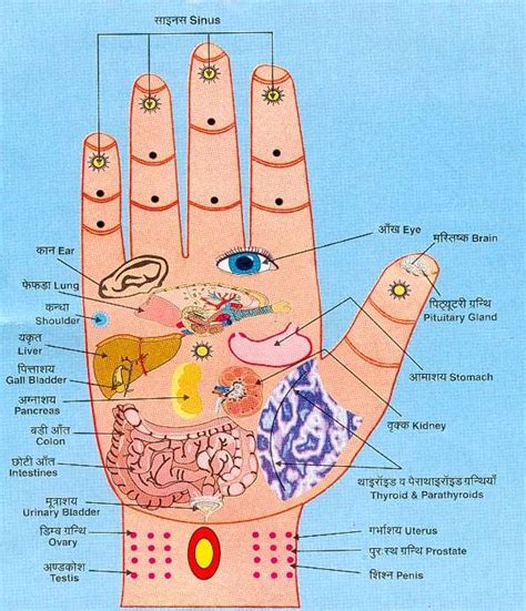 Massaging Pressure Points In Palm And Underfeet To Revitalize Organs Yoga