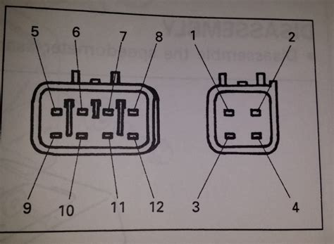 7 Pin Cdi Wiring Diagram Lilliaskahlen